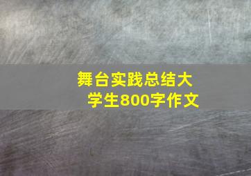 舞台实践总结大学生800字作文