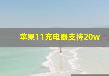 苹果11充电器支持20w