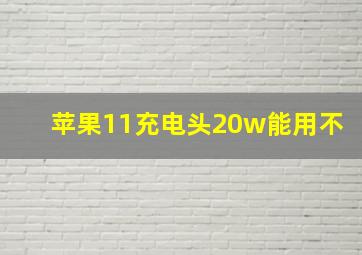 苹果11充电头20w能用不