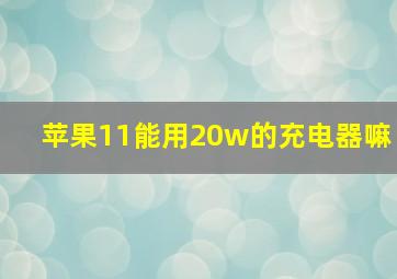 苹果11能用20w的充电器嘛