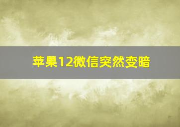 苹果12微信突然变暗