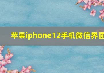 苹果iphone12手机微信界面