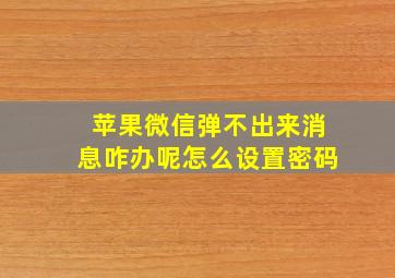 苹果微信弹不出来消息咋办呢怎么设置密码