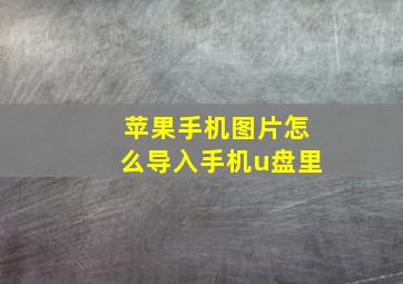 苹果手机图片怎么导入手机u盘里