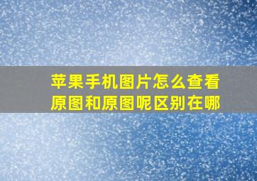 苹果手机图片怎么查看原图和原图呢区别在哪