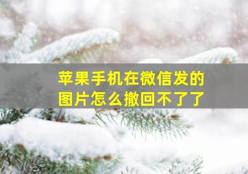 苹果手机在微信发的图片怎么撤回不了了