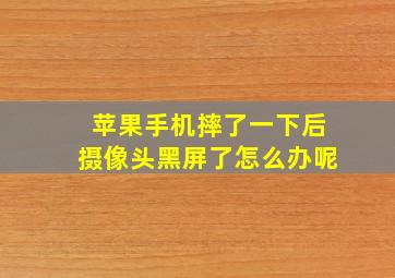 苹果手机摔了一下后摄像头黑屏了怎么办呢