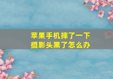 苹果手机摔了一下摄影头黑了怎么办