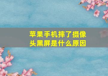 苹果手机摔了摄像头黑屏是什么原因