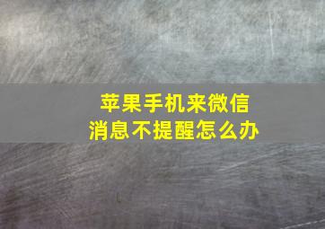 苹果手机来微信消息不提醒怎么办