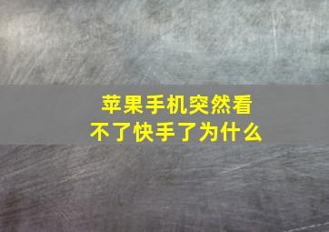 苹果手机突然看不了快手了为什么