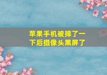 苹果手机被摔了一下后摄像头黑屏了