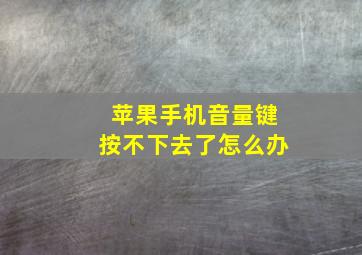 苹果手机音量键按不下去了怎么办