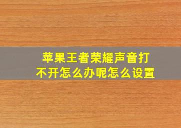 苹果王者荣耀声音打不开怎么办呢怎么设置