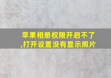 苹果相册权限开启不了,打开设置没有显示照片