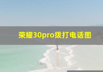 荣耀30pro拨打电话图