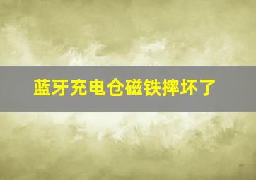 蓝牙充电仓磁铁摔坏了