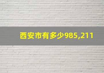 西安市有多少985,211