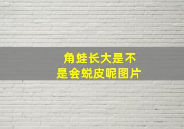 角蛙长大是不是会蜕皮呢图片