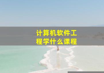 计算机软件工程学什么课程