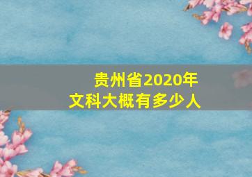 贵州省2020年文科大概有多少人