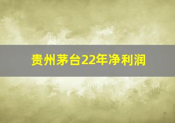 贵州茅台22年净利润