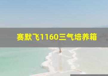 赛默飞1160三气培养箱