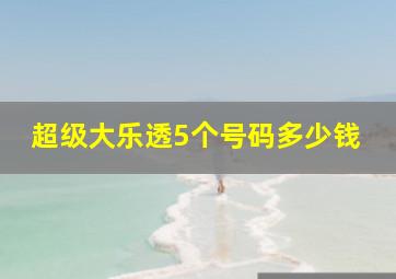 超级大乐透5个号码多少钱