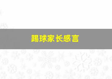 踢球家长感言