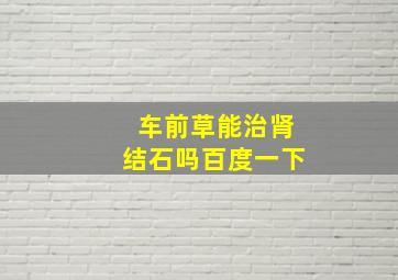 车前草能治肾结石吗百度一下