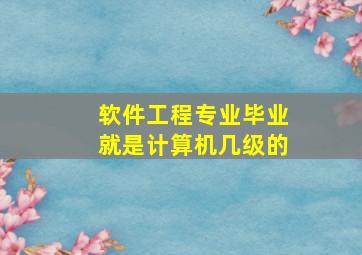 软件工程专业毕业就是计算机几级的