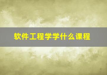 软件工程学学什么课程