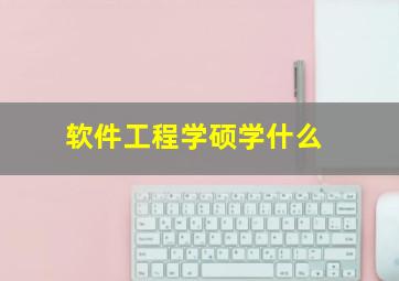 软件工程学硕学什么