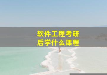 软件工程考研后学什么课程