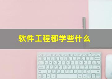 软件工程都学些什么