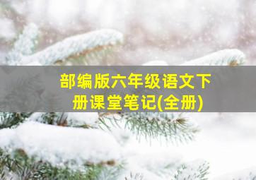 部编版六年级语文下册课堂笔记(全册)