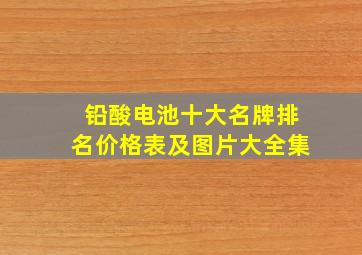 铅酸电池十大名牌排名价格表及图片大全集