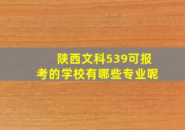 陕西文科539可报考的学校有哪些专业呢