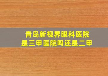 青岛新视界眼科医院是三甲医院吗还是二甲