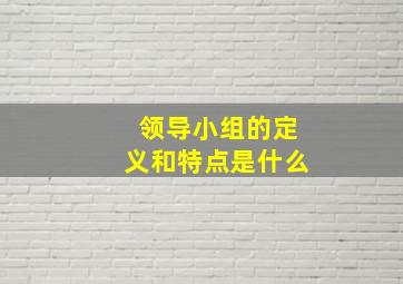 领导小组的定义和特点是什么