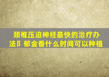 颈椎压迫神经最快的治疗办法阝郁金香什么时间可以种植