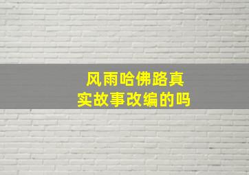 风雨哈佛路真实故事改编的吗