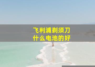 飞利浦剃须刀什么电池的好