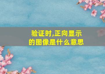 验证时,正向显示的图像是什么意思