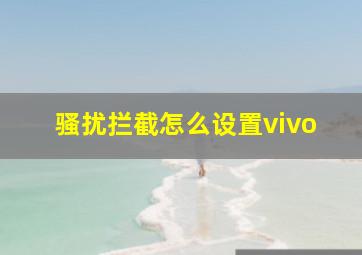 骚扰拦截怎么设置vivo