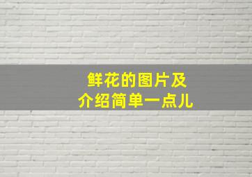 鲜花的图片及介绍简单一点儿