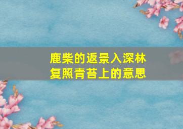 鹿柴的返景入深林复照青苔上的意思